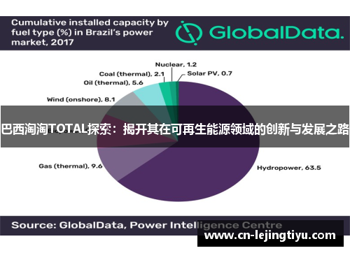 巴西淘淘TOTAL探索：揭开其在可再生能源领域的创新与发展之路